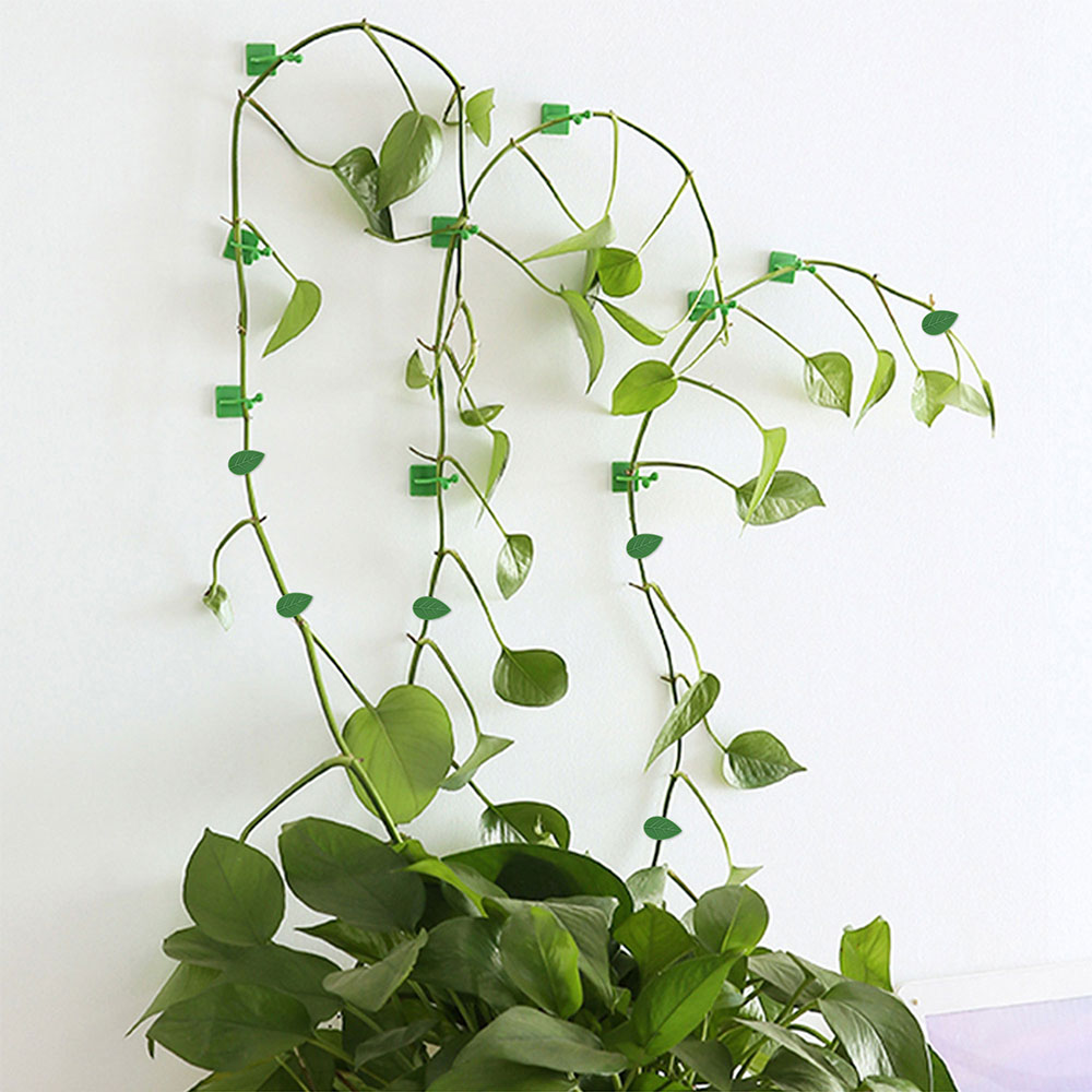 Yardlab Plant Climbing Wall Fixture Clips Set 30 Clips+10 Green Hooks+Storage Box Real Canadian Superstore