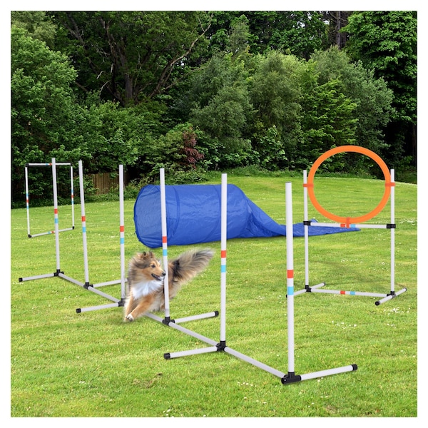 outdoor dog agility course near me