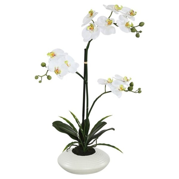 Vickerman Orchidée artificielle contemporaine en plastique de 25 po en blanc  Vickerman | Maxi