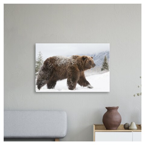 Printscapes Printscapes Canvas Wall Art - Captive Female Grizzly Walks  Through Snow Alaska Wildlife Conservation Center Southcentral Alaska Winter  by Doug Lindstrand | No Frills Online