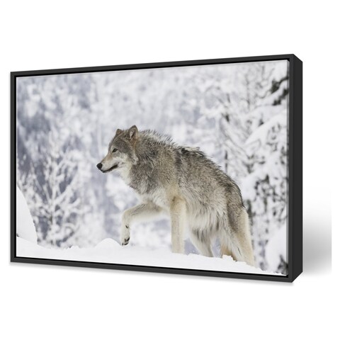 Printscapes Printscapes Framed Canvas Wall Art - Captive Female Tundra Wolf  In Snow Alaska Wildlife Conservation Center Southcentral Alaska by Doug  Lindstrand | Real Canadian Superstore